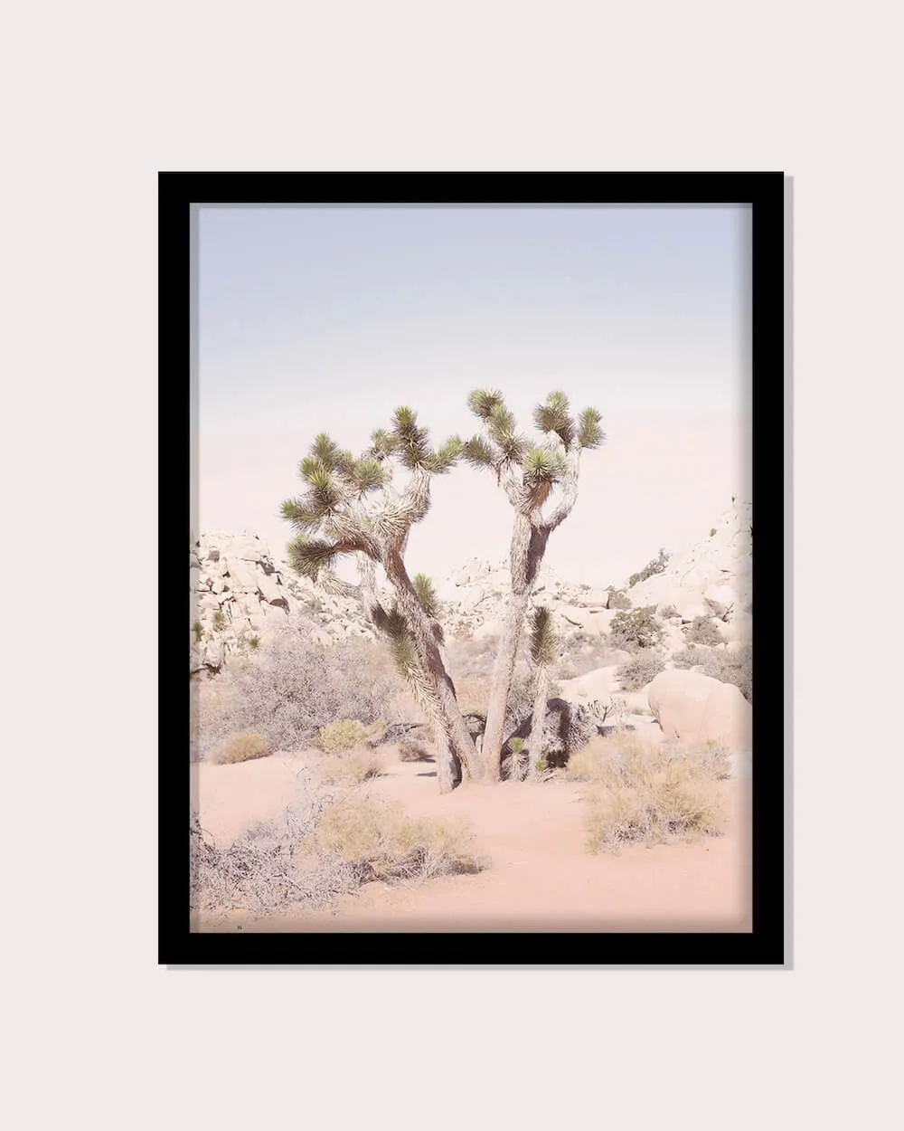 Joshua Tree No. 2