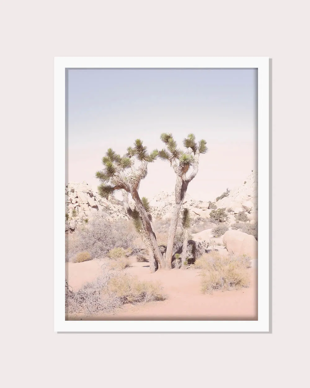 Joshua Tree No. 2